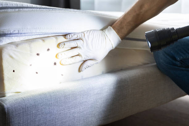Best Pest Prevention Services  in Feasterville, PA