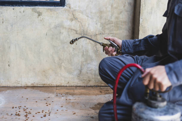 Best Pest Removal Services  in Feasterville, PA