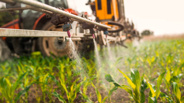 Best Mosquito Control Services  in Feasterville, PA